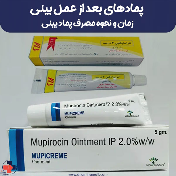 انواع پماد بعد از عمل بینی + زمان و نحوه مصرف پماد بینی